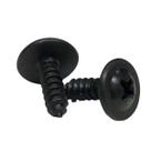 Parafuso Preto Philips Flangeado Pequeno 4x13mm Soberbo Resistente Ponta Agulha Drywall 100 Unidades Parafuso Preto Philips Flangeado Pequeno 4x13mm Soberbo Resistente Ponta Agulha Drywall 100 Unidades