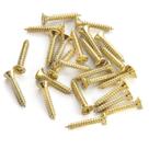 Parafuso Suporte Jack Dourado WO2.5X15-GD (24 Peças) Spirit Parafuso Suporte Jack Dourado WO2.5X15-GD (24 Peças) Spirit