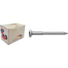 Parafuso Tampinha Phillips Nfix 4,8X 60 - Kit C/2 Centos