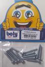Parafusos A.A Cabeça Panela 3,5x25 Boly Kit 14 Peças