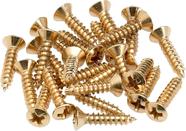 Parafusos Fender Pickguard/Control Plate Mounting Gold x24