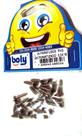 Parafusos Phillips Bicromatizados 3x16mm Kit 24 Pçs - Boly - Ref. 326
