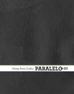 Paralelo 20
