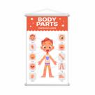 Partes do Corpo em Inglês Menino Banner Escolar Grande