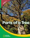 Parts Of A Tree - World Windows - Level 1
