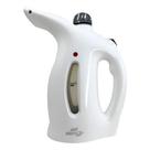 Passadeira Portátil 110v 800w Roupas No Cabide Vertical Branco 110v
