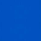 Passadeira Verniz Vernilon Manta Rolo 1,40x20m Vinil PVC