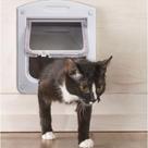 Passagem Para Cães E Gatos Porta Pet Door Até 7kg 4 Funções Com Trava