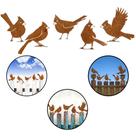 Pássaros de Metal Decorativos P/ Jardim C/ Ferrugem 5 Pç