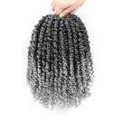 Passion Twist Hair Karida 25 cm, 8 pacotes, cinza para mulheres negras