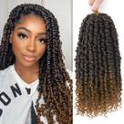 Passion Twist Hair Nice One PreTwisted 14 cm 112 fios