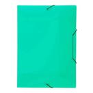 Pasta Aba Elástica 348x233mm Verde 2021 - ACP
