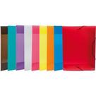 Pasta ABA Elastica Plastica Oficio Topline Sortida PCT.C/10