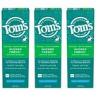 Pasta de Dente Tom's of Maine Wicked Fresh - 3 Unidades de 120ml Pasta de Dente Tom's of Maine Wicked Fresh - 3 Unidades de 120ml