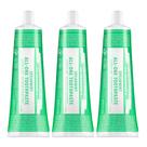 Pasta de dentes Dr. Bronner's All-One Spearmint 150 ml, pacote com 3 Pasta de dentes Dr. Bronner's All-One Spearmint 150 ml, pacote com 3