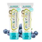 Pasta de dentes Jack N' Jill Natural para bebês e bebês Blueberry Pasta de dentes Jack N' Jill Natural para bebês e bebês Blueberry