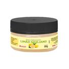 PASTA MAGO SABORIZANTE 90g LIMÃO SICILIANO PASTA MAGO SABORIZANTE 90g LIMÃO SICILIANO