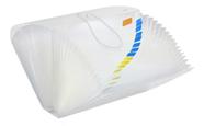 Pasta Sanfonada Média Plástica Duplicata 31 Divisórias 19x24cm ACP e Polibras Para Guardar e Organizar Documentos e Papéis Dobrados ou Metade A4