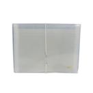Pasta Sanfonada Plastica Duplicata 12 Divisoes Cristal