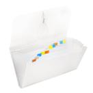 Pasta Sanfonada Tamanho Pequena Cheque 13,9x26cm 12 divisórias para Organizar e Guardar Papéis, Contas, Fotos, Cheques e Documentos ACP e Polibras