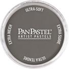 Pastéis Artísticos PanPastel Cinza Neutro Pan 62 mm Pastéis Artísticos PanPastel Cinza Neutro Pan 62 mm