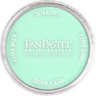 Pastéis Artísticos PanPastel GOLDEN Verde Perolado 62 mm Pastéis Artísticos PanPastel GOLDEN Verde Perolado 62 mm