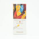 Pastel Oleoso Sennelier 12 Cores