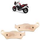 Pastilha de Freio Traseira F 800 R 2009 A 2010 Sinterizada - GP Tech