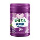 Pastilha Valda Friends Novo Sabor Uva Sem Açúcar 50g