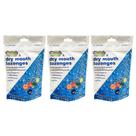 Pastilhas de algodão para alívio da boca seca, mistura de frutas 100mL x3