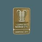 Patch campeão copa do nordeste 2015 oficial cbf