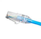 Patch CORD U/UTP CAT.5E CMX T568A/B 5 Metros AZ 35100073