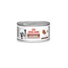 Patê Recovery Royal Canin para Cães e Gatos 195g