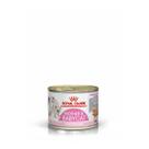 Patê Royal Canin Mother & Babycat Gatos Lata 195 g Patê Royal Canin Mother & Babycat Gatos Lata 195 g