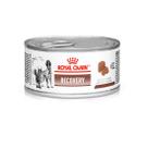 Patê Royal Canin Recovery Cães e Gatos Lata 195 g