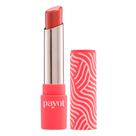 Payot Batom Matte Mistério