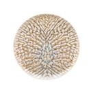 PD - Conjunto de Pratos de Sobremesa Com 06 Peças 20cm - Flat Leopardita - Oxford