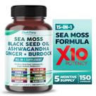 PEAKPURY Alga Marinha Óleo de Cominho Preto Ashwagandha Gengibre Bardana Bladderwrack - Suporte Imunológico