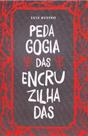Pedagogia das Encruzilhadas - MORULA EDITORA