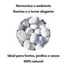 Pedra Branca De Jardim Seixo Dolomita Nº2 Para Canteiro 10kg