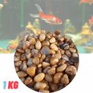Pedra Cascalho Natural De Rio Para Aquários Plantados 1 Kg