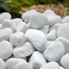 Pedra dolomita ornamental para decoração, vasos, jardins, aquarios seixo Branca 15 kilos N 3 Gold Plant