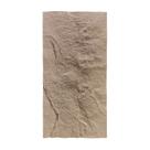 Pedra Leve Rocha 3D Várias Cores 1.20m X 0,60m