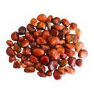 Pedra Natural Ágata Cornalina Rolada Polida 2-3cms - 500g