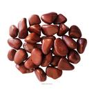 Pedra Natural Jaspe Vermelho Rolada Polida 2-3cms - 500g Pedra Natural Jaspe Vermelho Rolada Polida 2-3cms - 500g