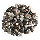 Pedra Natural Olho De Gato Rolada Polida 1-2cms - 500g