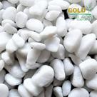 Pedra Ornamental decoração vasos jardins dolomita seixo Branca 15 kilos N 2 - Gold Plant