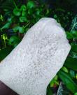 PEDRINHA Nº 0/pedra SEIXO para decoração de vasos cactos,suculentas e jardim.Embalagens com 1KG