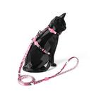 Peitoral com Guia para Gatos Hello Kitty FreeFaro - M Peitoral com Guia para Gatos Hello Kitty FreeFaro - M