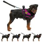 Peitoral Para Cachorro Com Regulagem Para Raças Pequenas Médias E Grandes Alça Reforçada Com Guia Para Cães